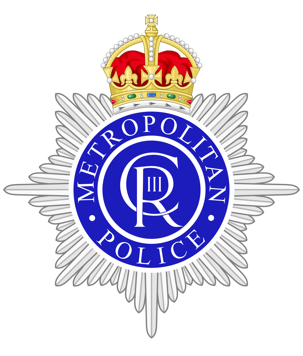 Police Services